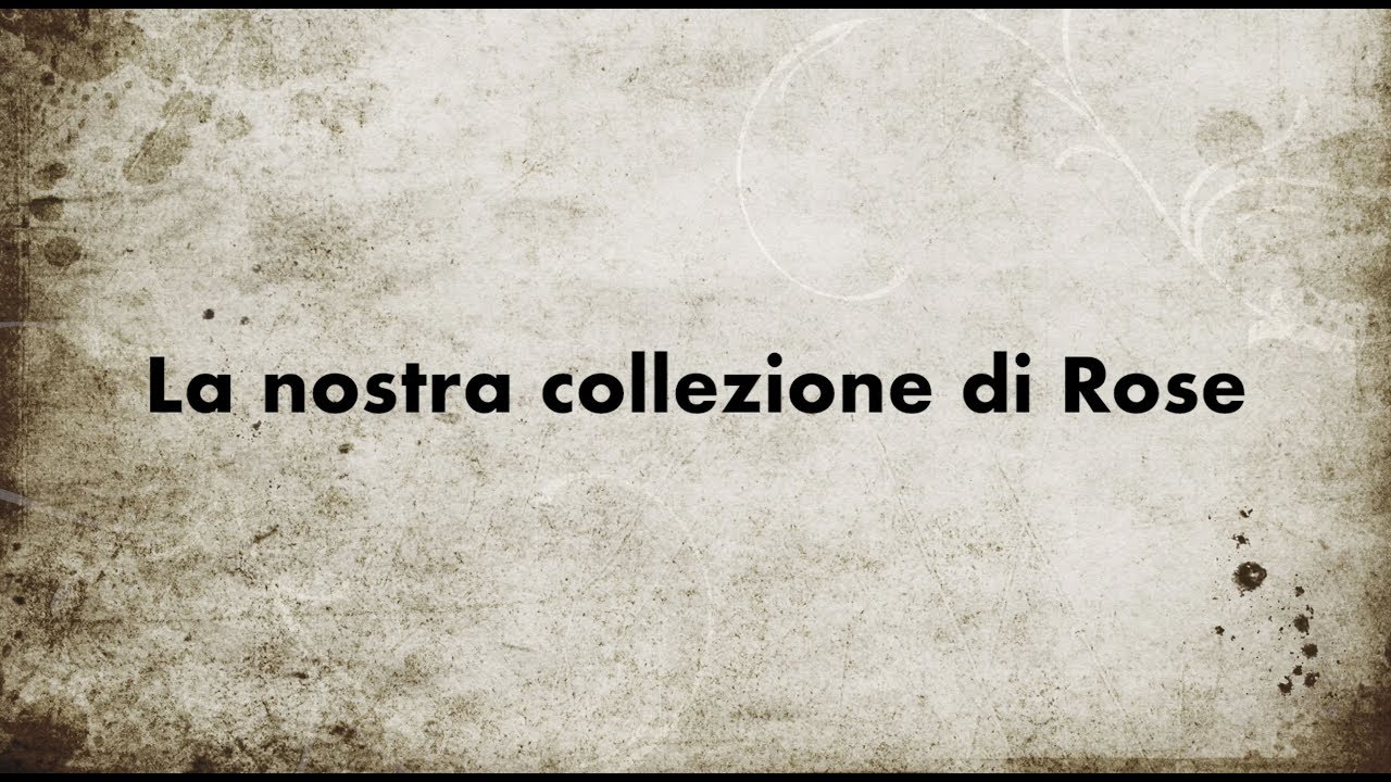 La nostra collezione di Rose | Our Roses collection