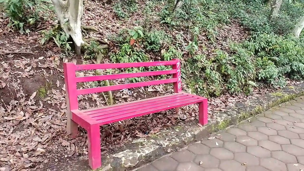 40 años en el olvido… y hoy, un parque bellísimo en Xalapa