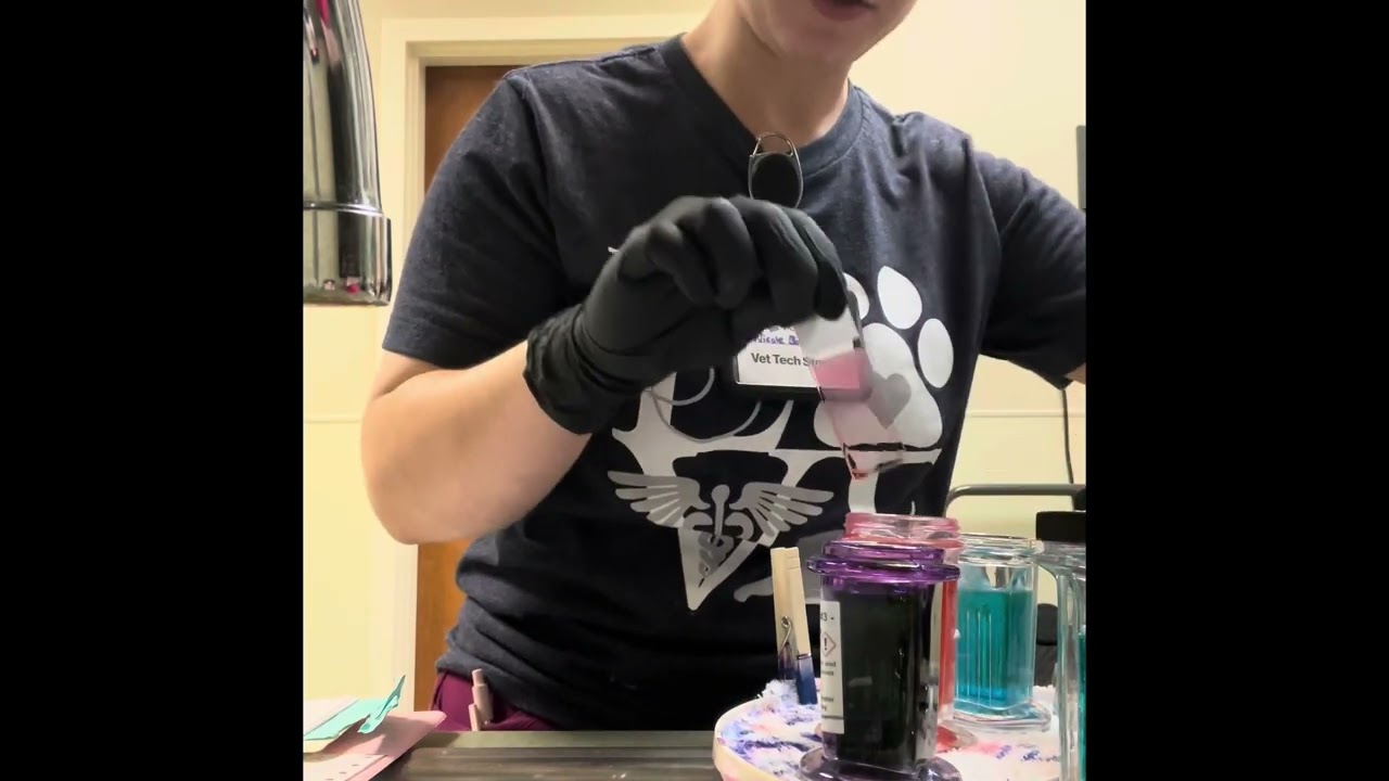 Skill 21 Nicole Barnhardt Externship 2