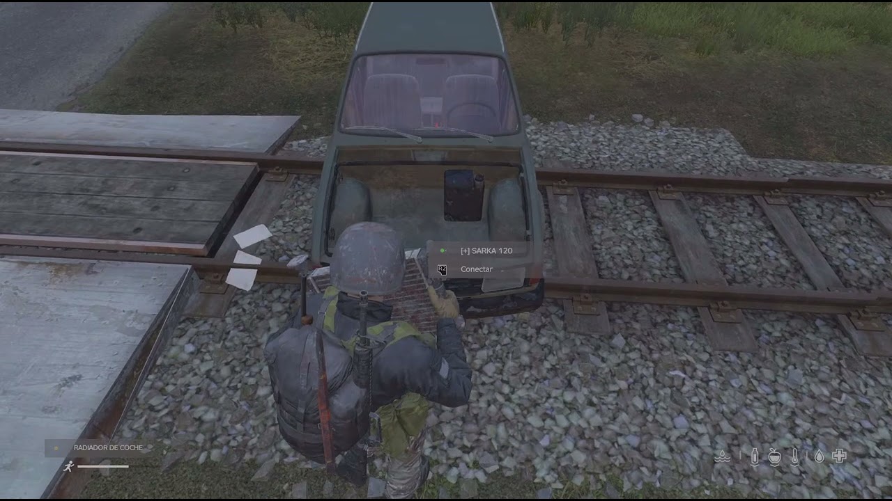 DayZ_20260218012504