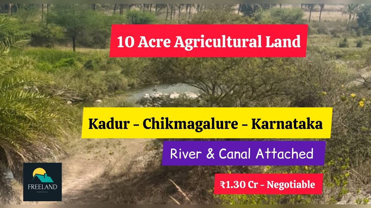10 Acre Agricultural Land On River & Canal Attached For Sale | Kadur | Chikmagalure | Karnataka 