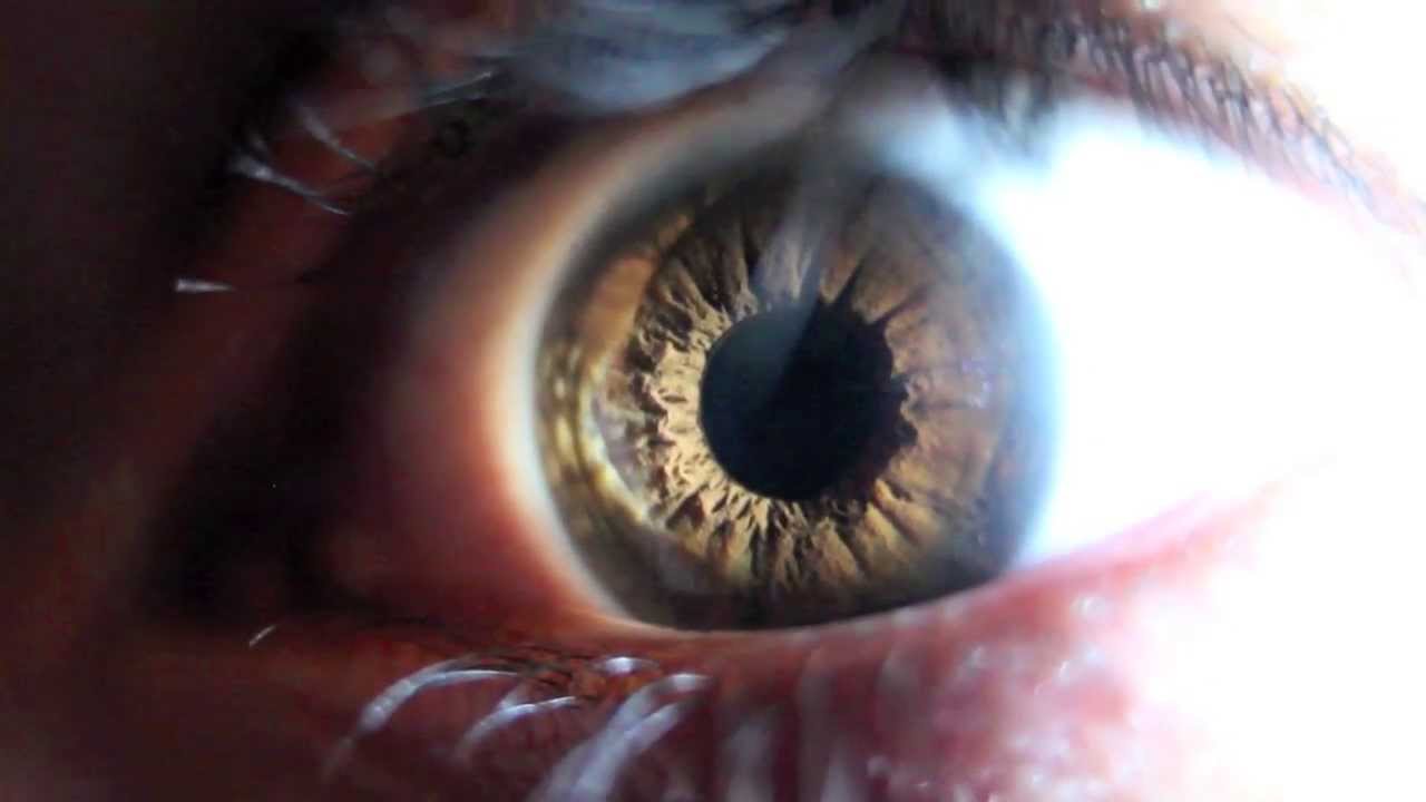 HD Eye Iris