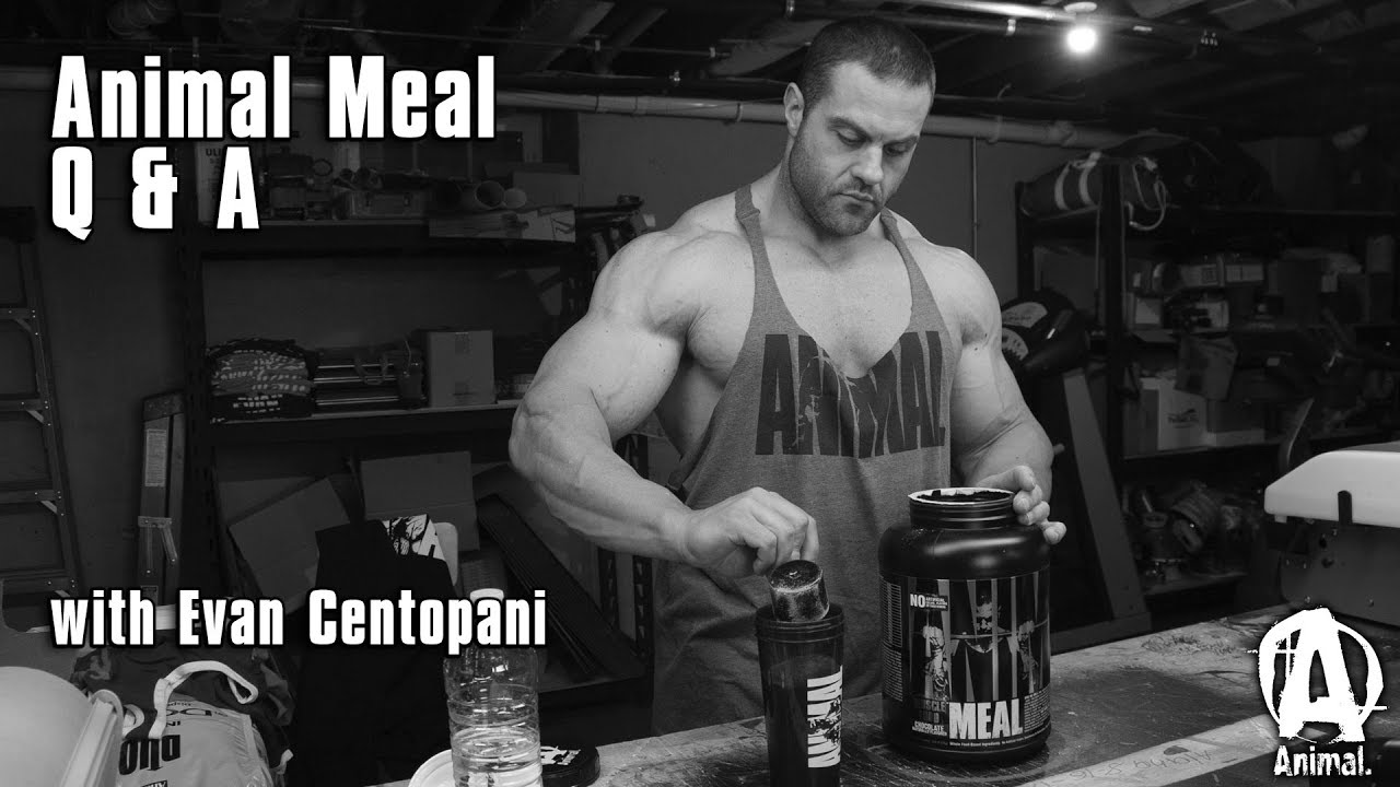 Animal Meal Q & A with Evan Centopani