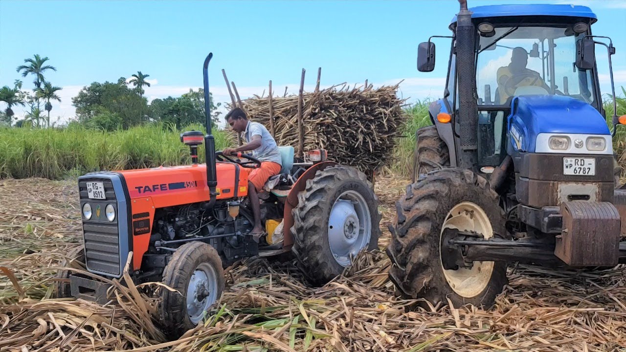 New Holland t6.140 || New Holland td90 || tafe 45di || sugarcane load
