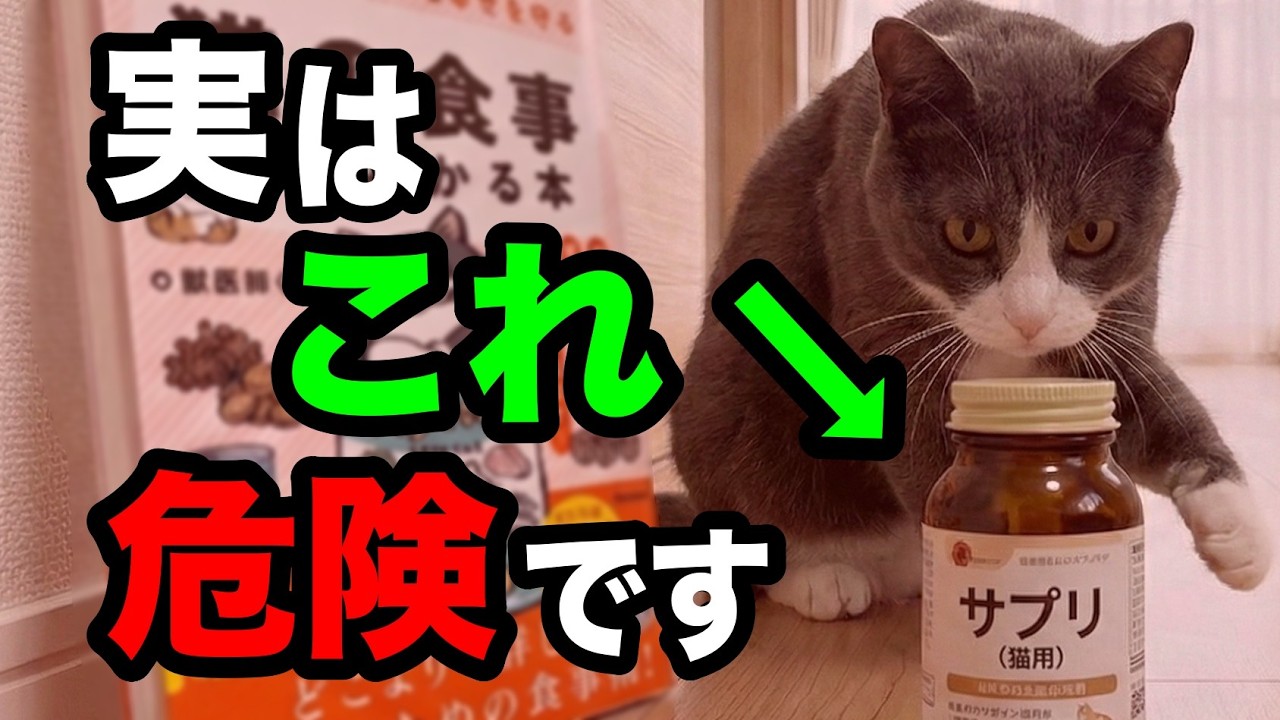 猫に危険なビタミン・ミネラルを獣医師が解説します【猫の食事がわかる本⑩ P38-40】