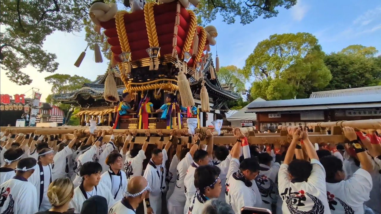 【百舌鳥八幡宮】令和7年　梅北町ふとん太鼓　本宮　宮出