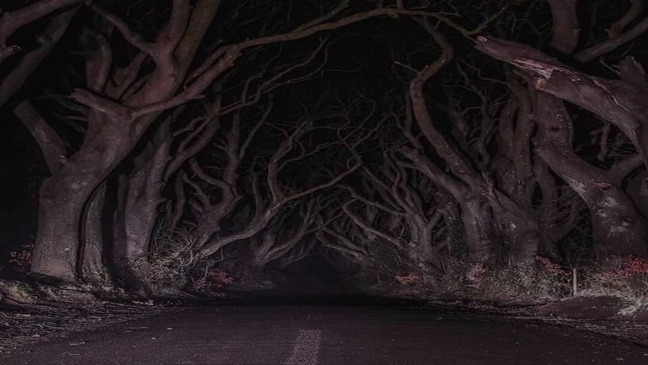 Strangely familiar places with unnerving music.