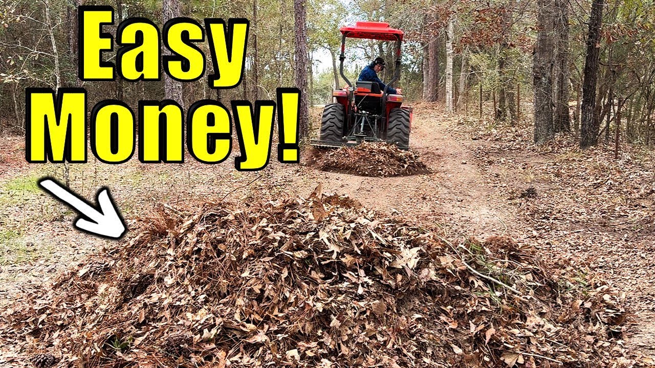Stop Buying Soil!  This Is Like Picking Money Off The Ground!