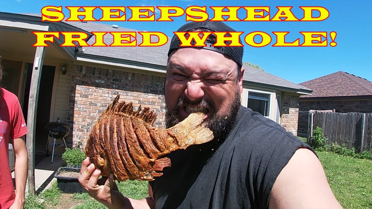 Fried Sheepshead Crispy and Delicious!! #chill #cooking #fishing #relaxing