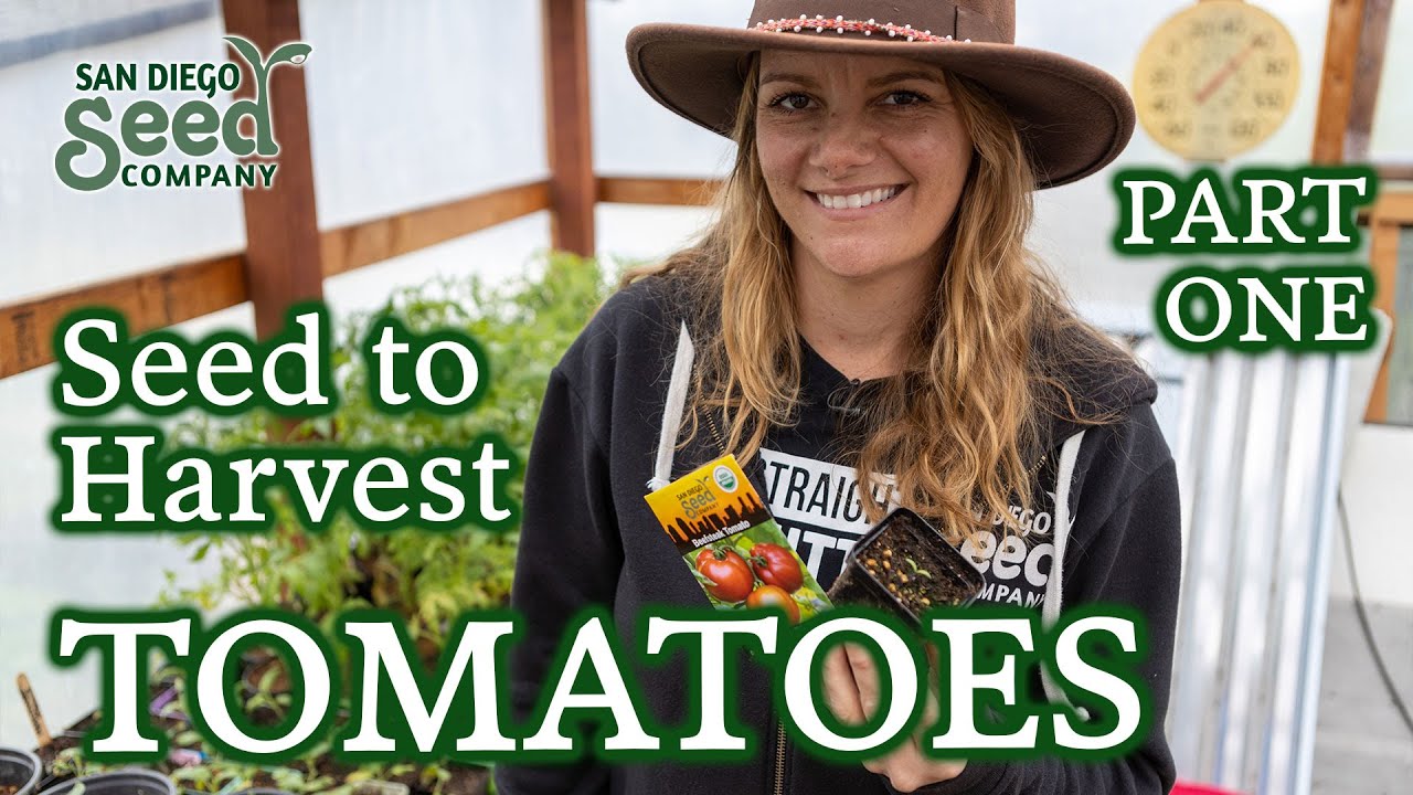 START TOMATOES LIKE A PRO 🙌 COMPREHENSIVE Guide for Gardeners to Master Growing this Gateway Crop