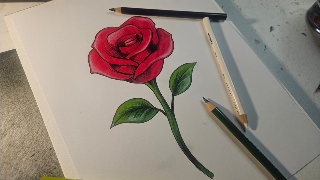DIBUJANDO UNA ROSA FACIL A COLOR