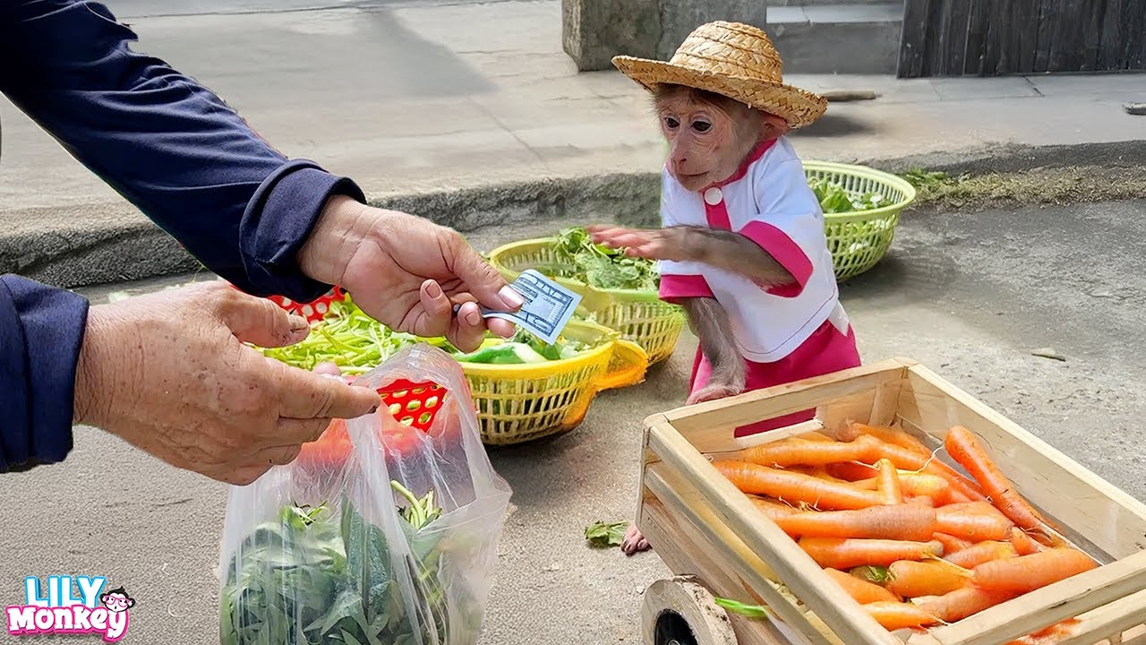 Off to the market! Lily’s selling vegetables to get rice for Dad | Lily's story