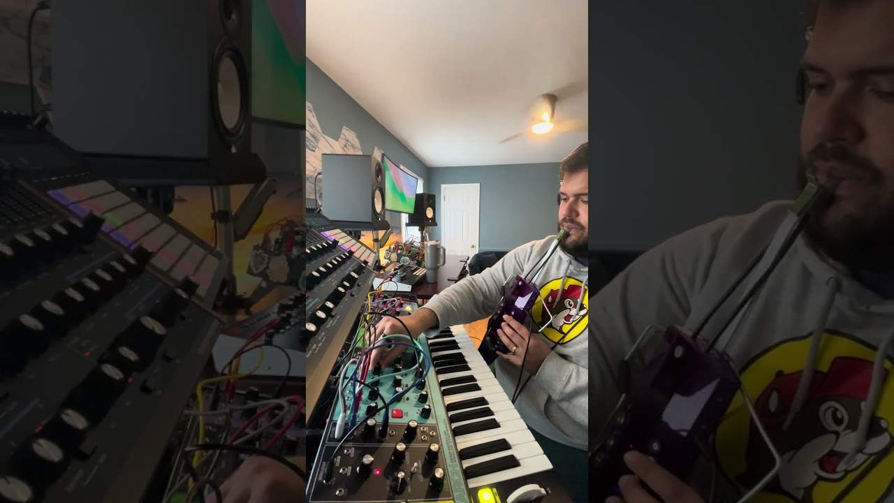 Electronic Wind Instrument | ​ @EddieEWI