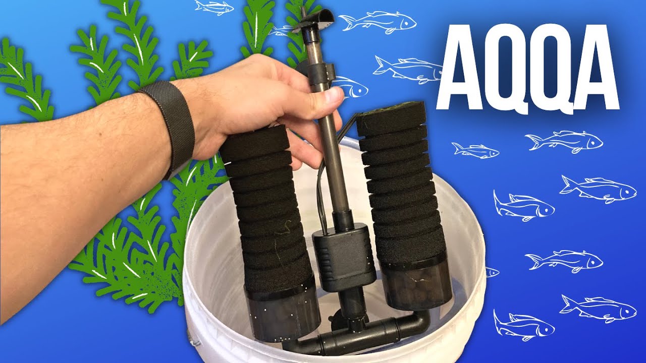 AQQA Aquarium Filter from Amazon Review (Large)