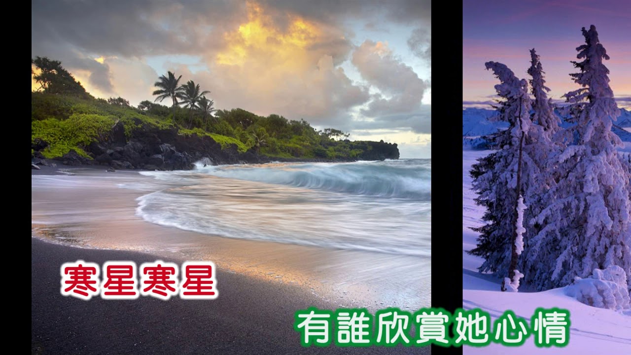 鳳飛飛 ~ 寒星