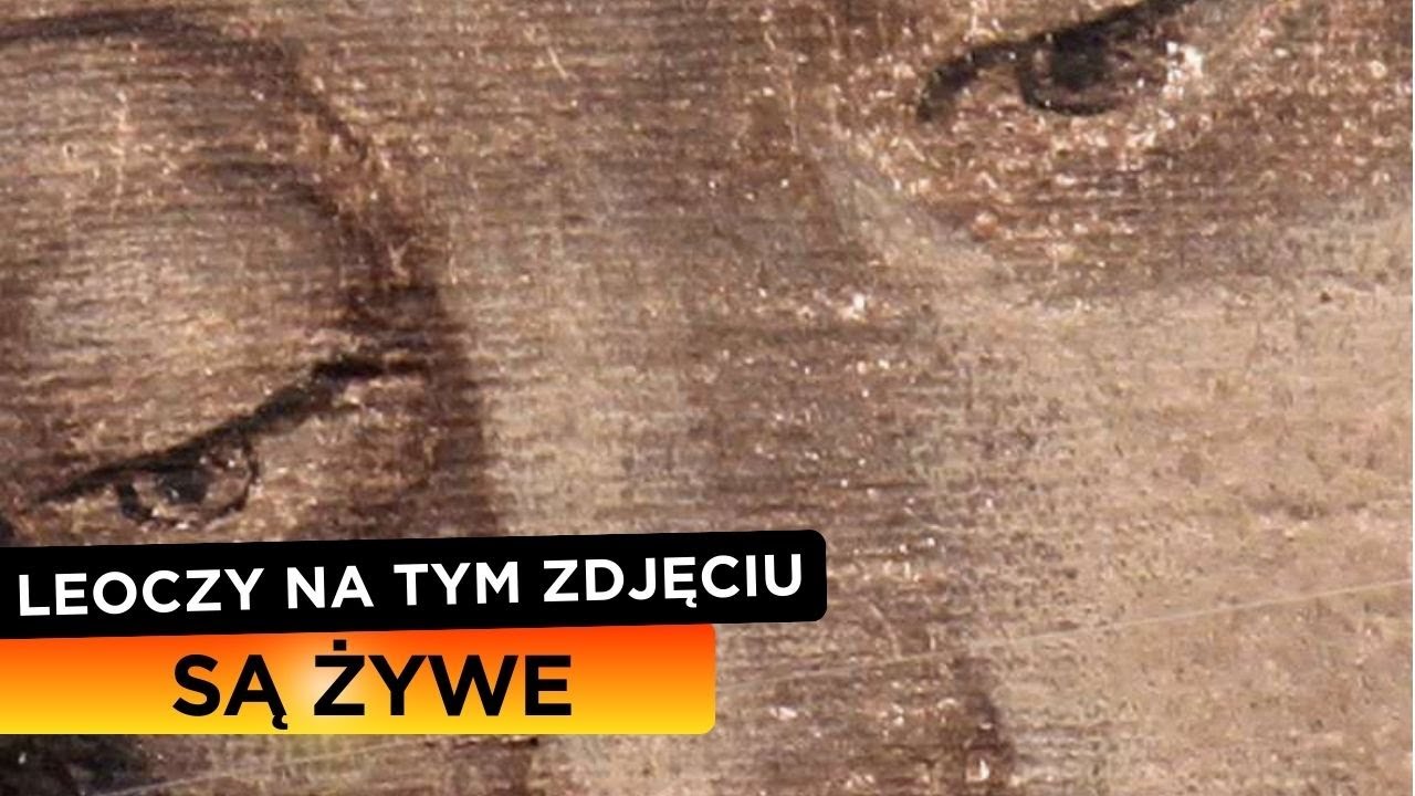 12 niewytłumaczalnych faktów na temat tego obrazu (Matki Bożej z Guadalupe) - 100 katolickich cudów