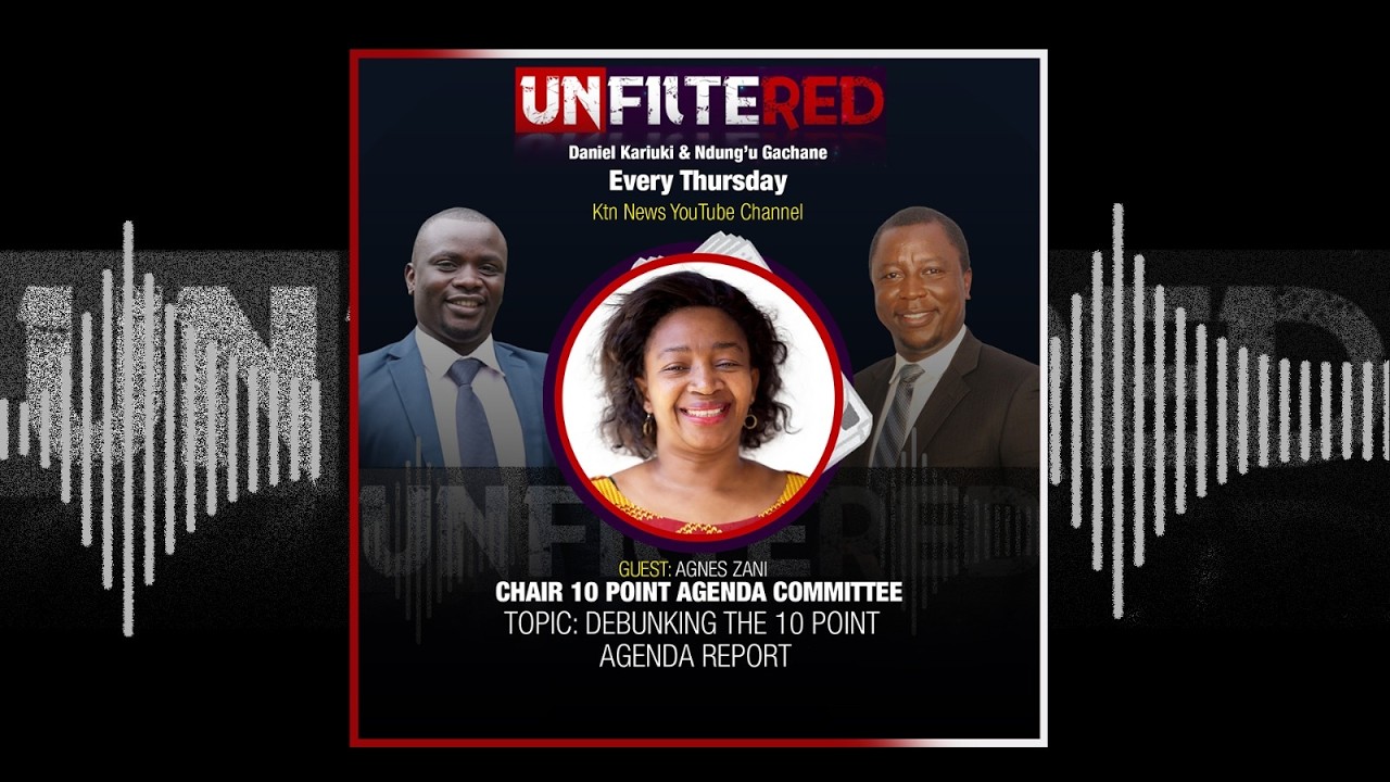 DEBUNKING THE 10 POINT AGENDA REPORT - AGNES ZANI