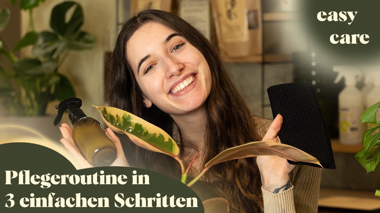 PFLANZENPFLEGE LEICHT GEMACHT 🌱 Die ultimative 3-Schritte-Routine f&uuml;r gesunde Zimmerpflanzen