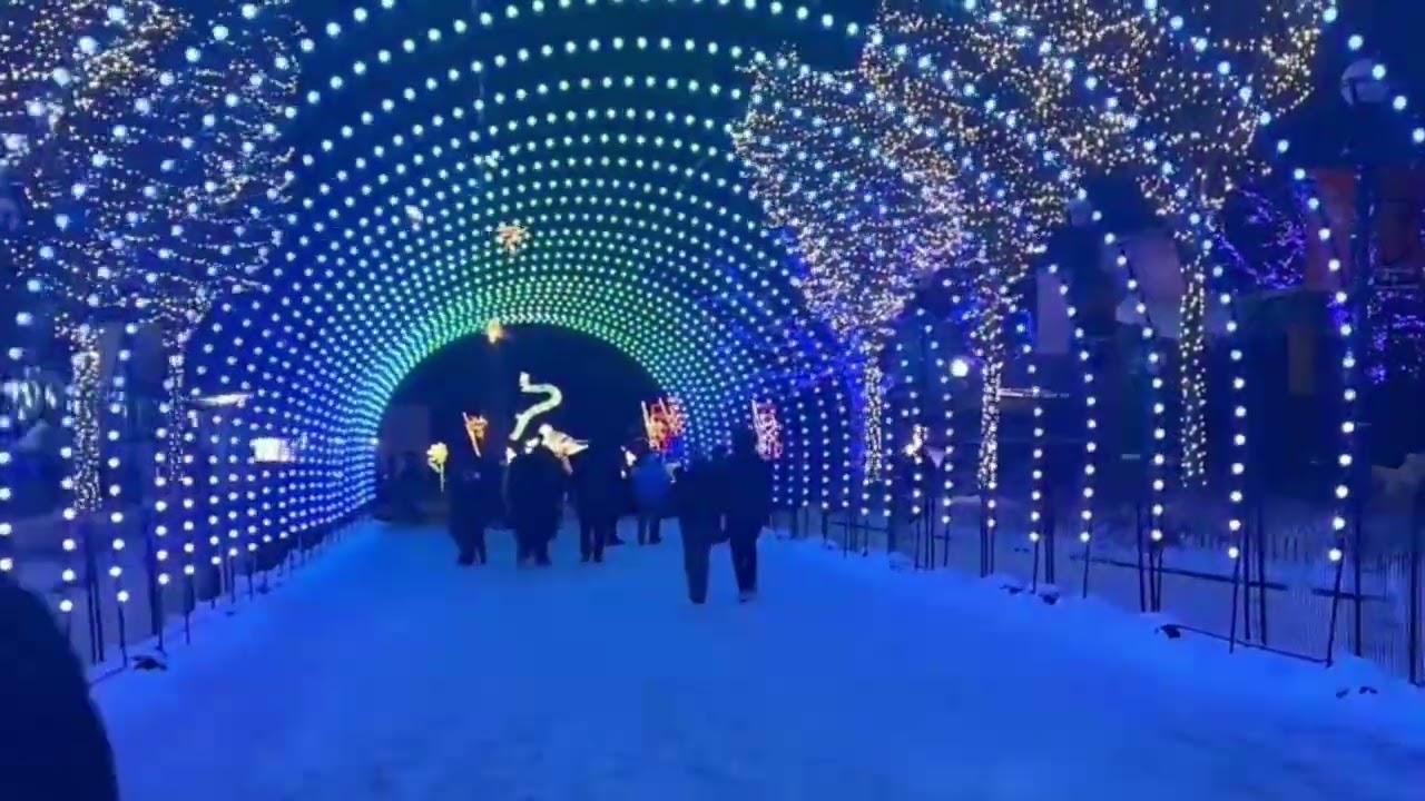 Lincoln Park di Chicago.DENGAN NUANSA PENUH KEINDAHAN 