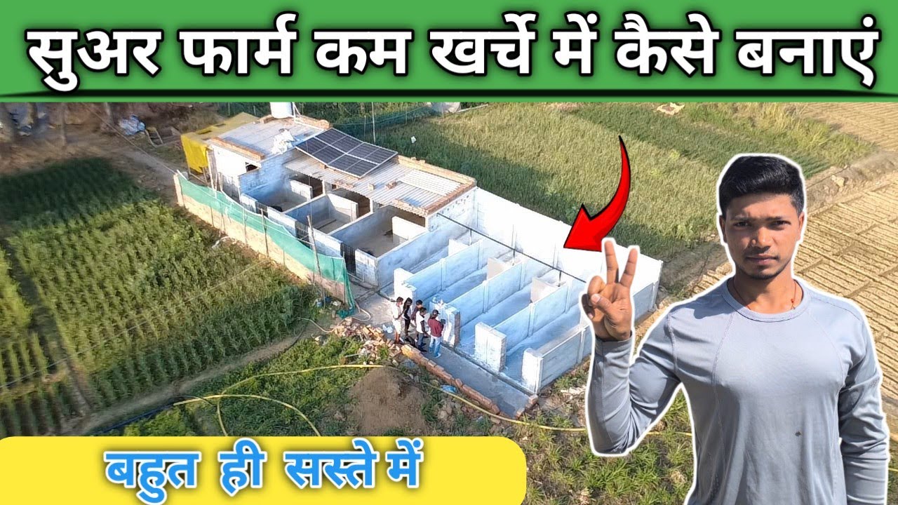 सुअर फॉर्म कम खर्चे में कैसे बनायें ! बहुत ही सस्ते में ! Low budget pig farm