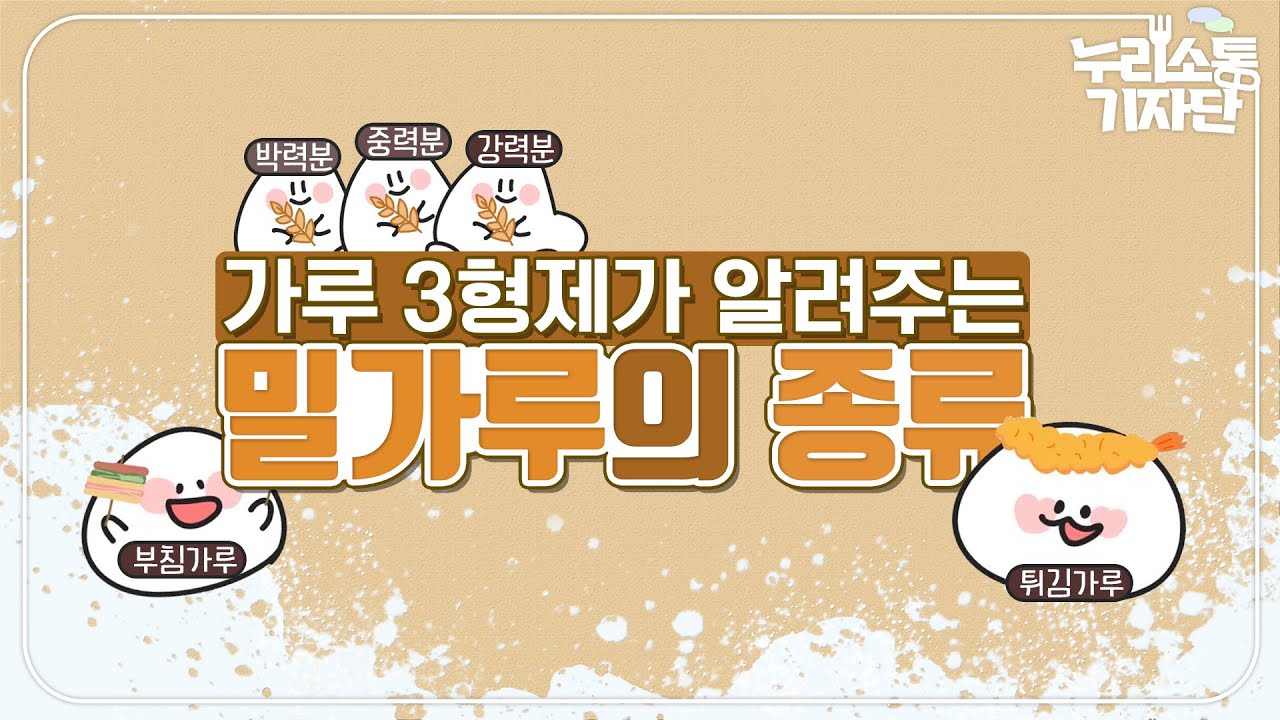강력분? 중력분? 박력분? 밀가루 차이점은?