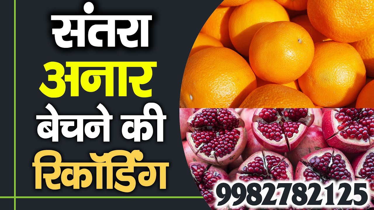संतरा और अनार की रिकॉर्डिंग I अनार की रिकॉर्डिंग I संतरा बेचने का प्रचार I Orange Selling Audio 2024