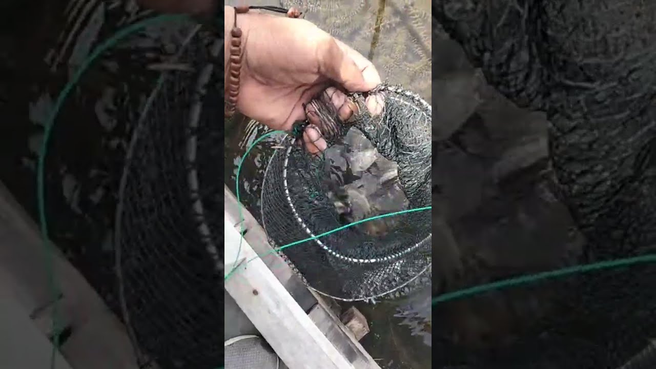 JORAN MAUNJUN sedang live sekarang!