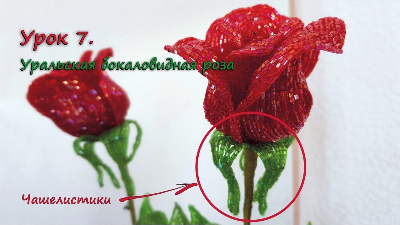 Бокаловидная роза. 🌹 Урок 7 - Чашелистики / Cup-shaped rose. Lesson 7 - Sepals