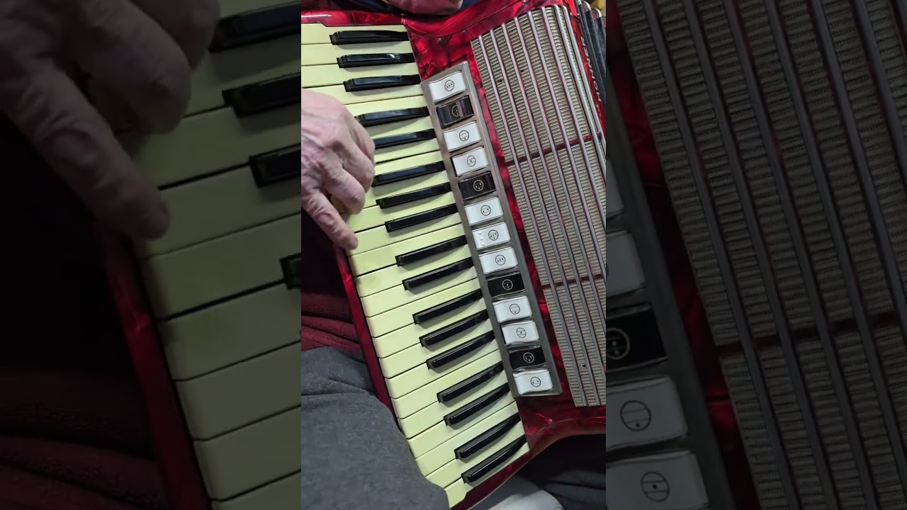akordeon hohner tango VM