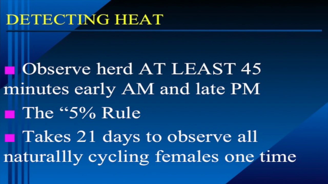 Bruce Carpenter - Cattle Reproduction - Estrus Detection and Sync Lecture - B