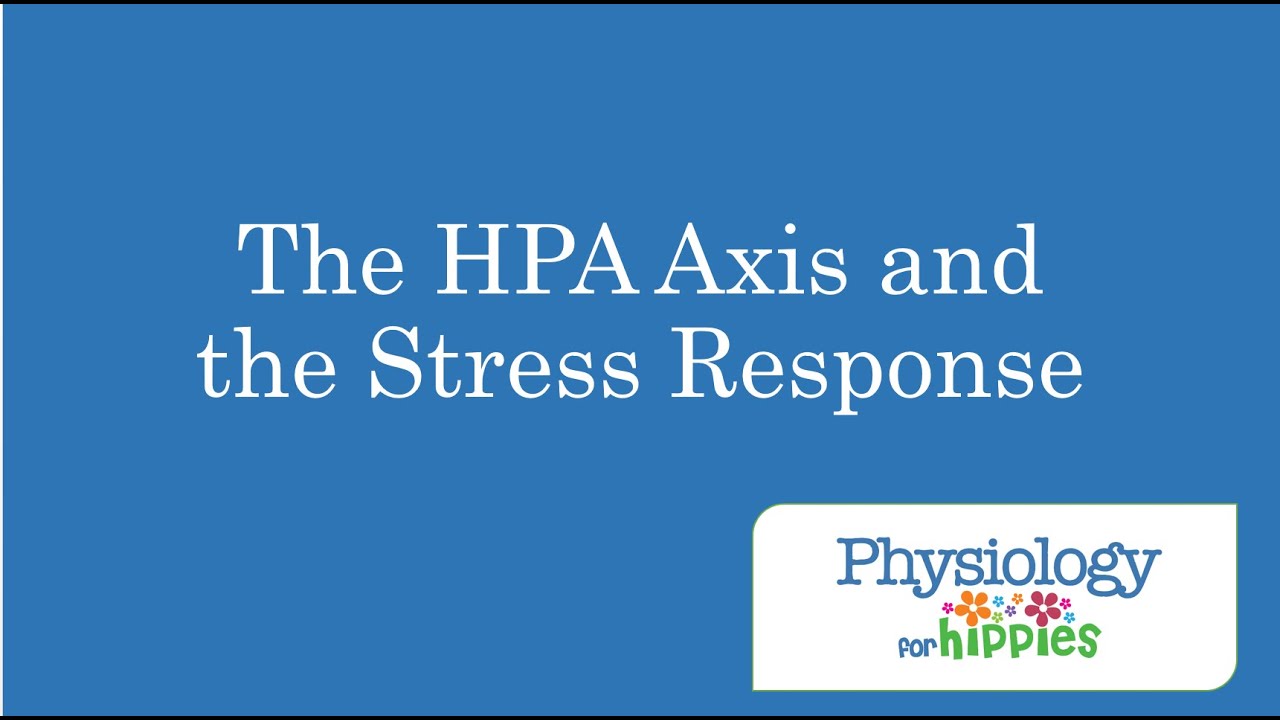 The HPA Axis and the Stress Response