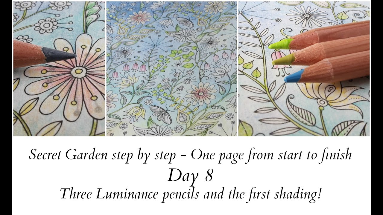 &laquo;Тайный сад&raquo; шаг за шагом &mdash; День 8 &mdash; Карандаши Luminance и штриховка