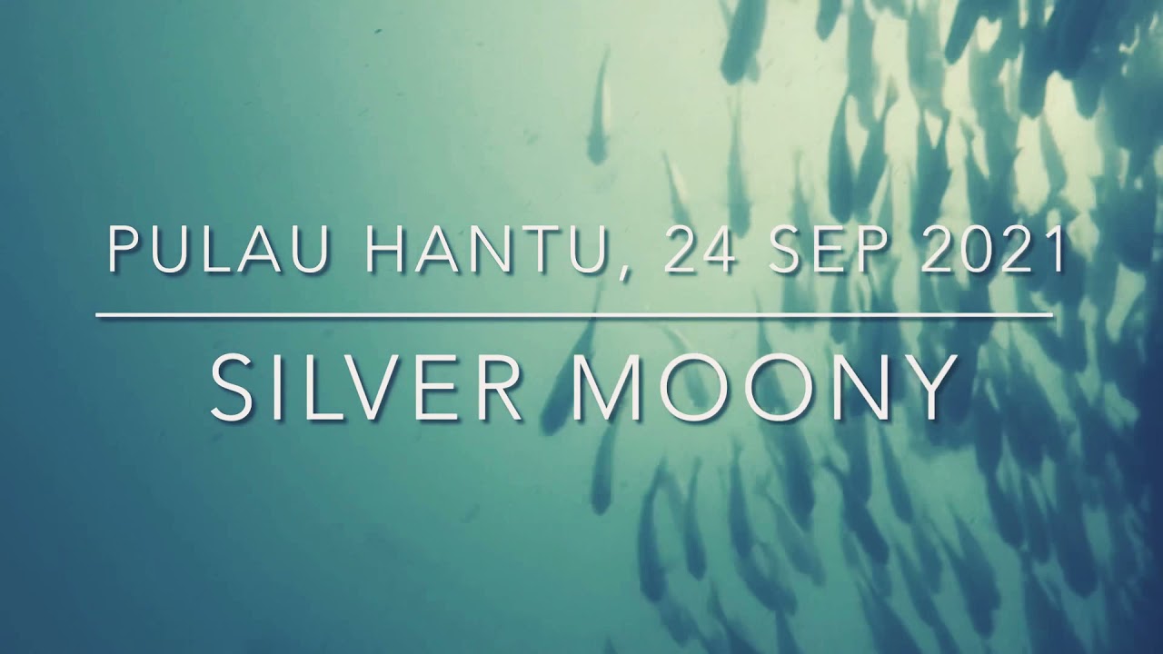 Pulau Hantu North Jetty Diving with Silver Moony & Many-spotted Sweetlips