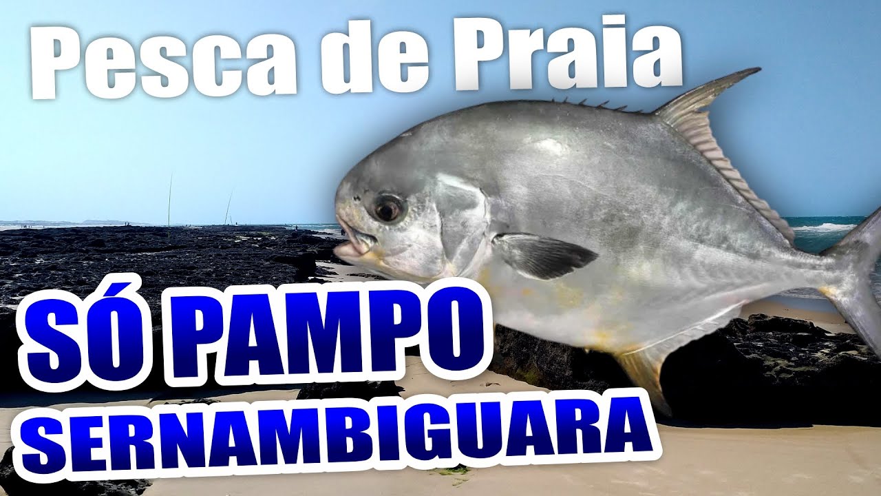 PAMPO SERNAMBIGUARA - PESCA DE PRAIA - EP - 025