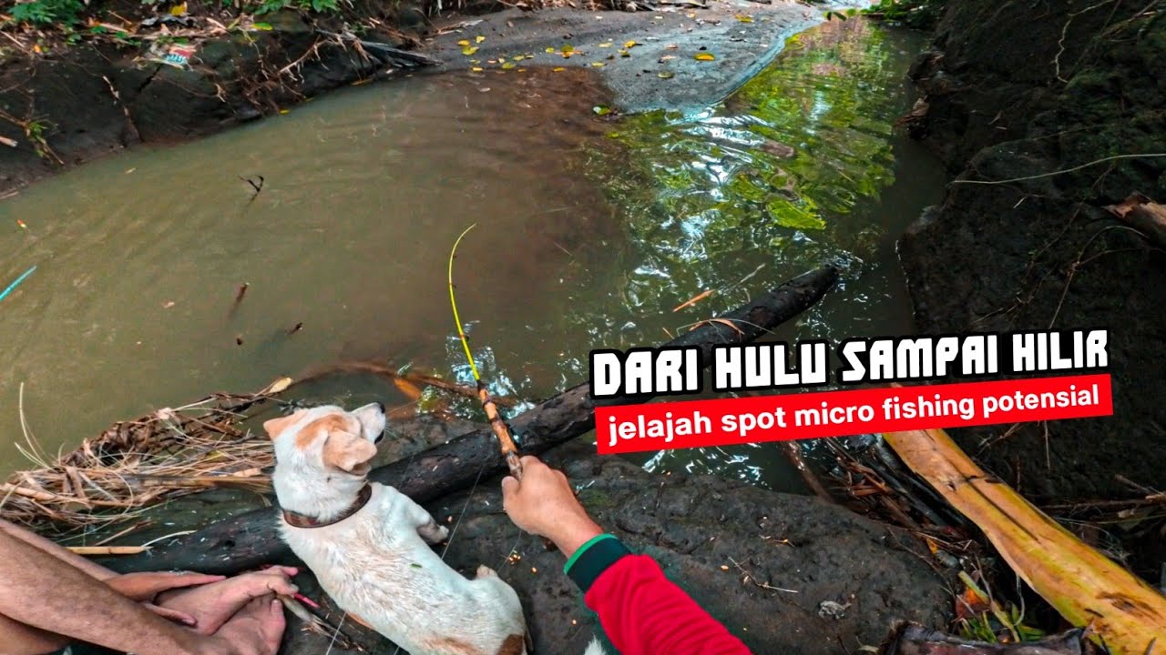 Mancing Blusukan Menyisir Aliran Sungai Dari Hulu Sampai Hilir - HARUSNYA POTENSIAL‼️