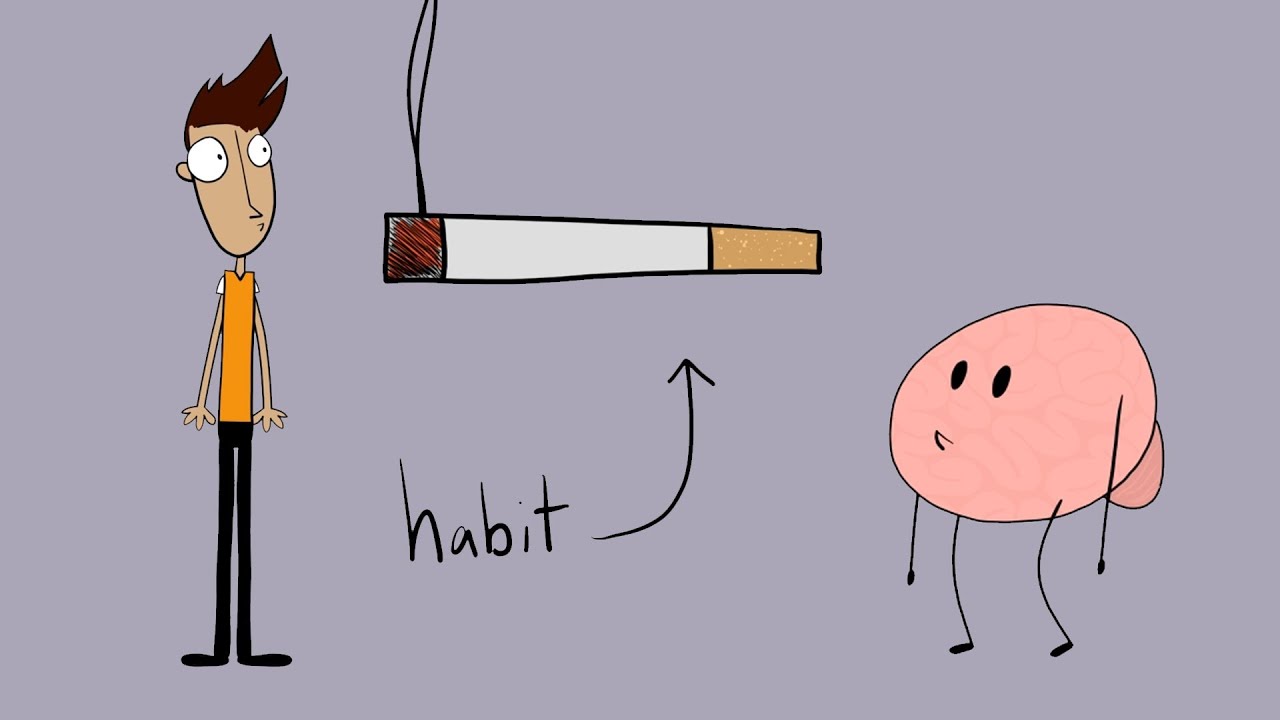 The Power of Habit