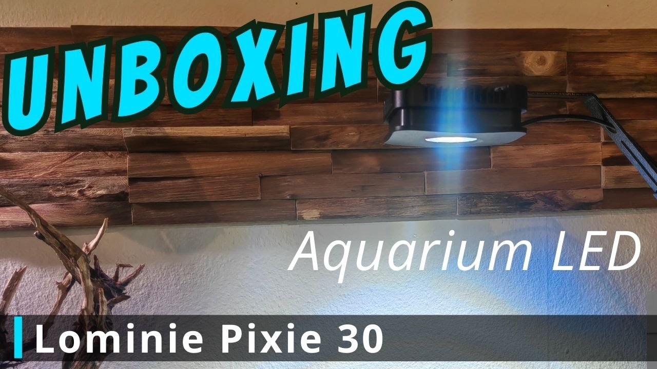 Unboxing Lominie Pixie 30 Aquarium LED #aquaristik