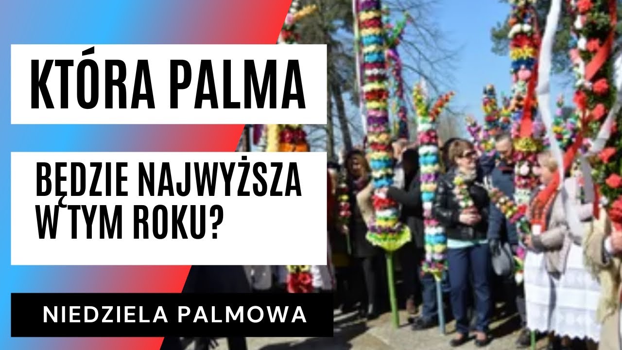NIEDZIELA PALMOWA. Tak powstają palmy w Łysych na Kurpiach. Są unikatowe! | FAKT. Pl
