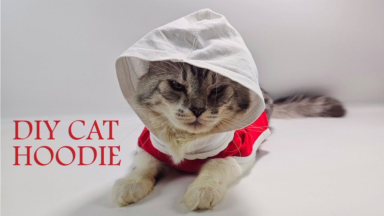 DIY CAT HOODIE | 猫咪连帽衫  