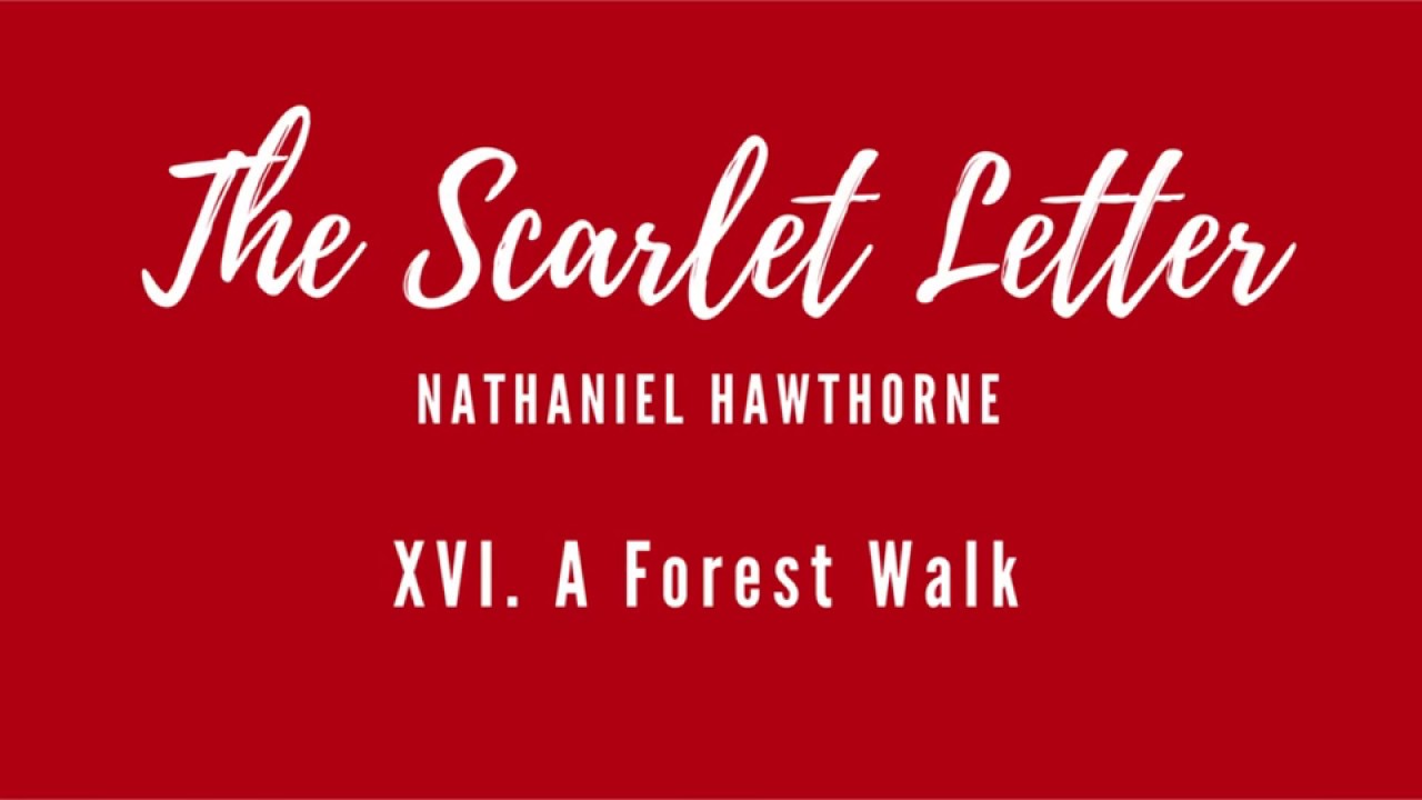 Scarlet Letter - Chapter 16 [Audiobook]