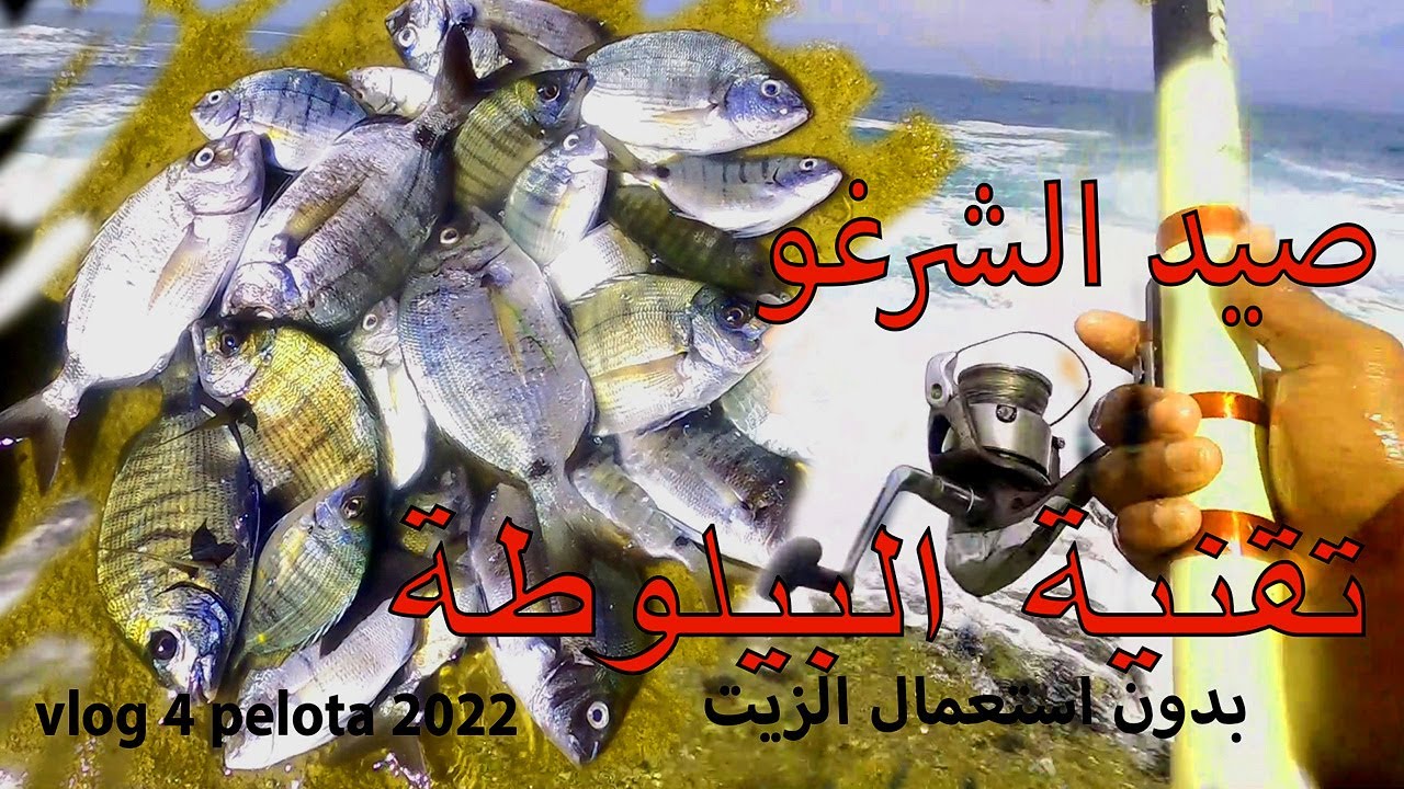 Pêche à la pelote  maroc vlog(4) 2022تعرف عن اسرار تقنية البيلوطة وتقنية التسراب