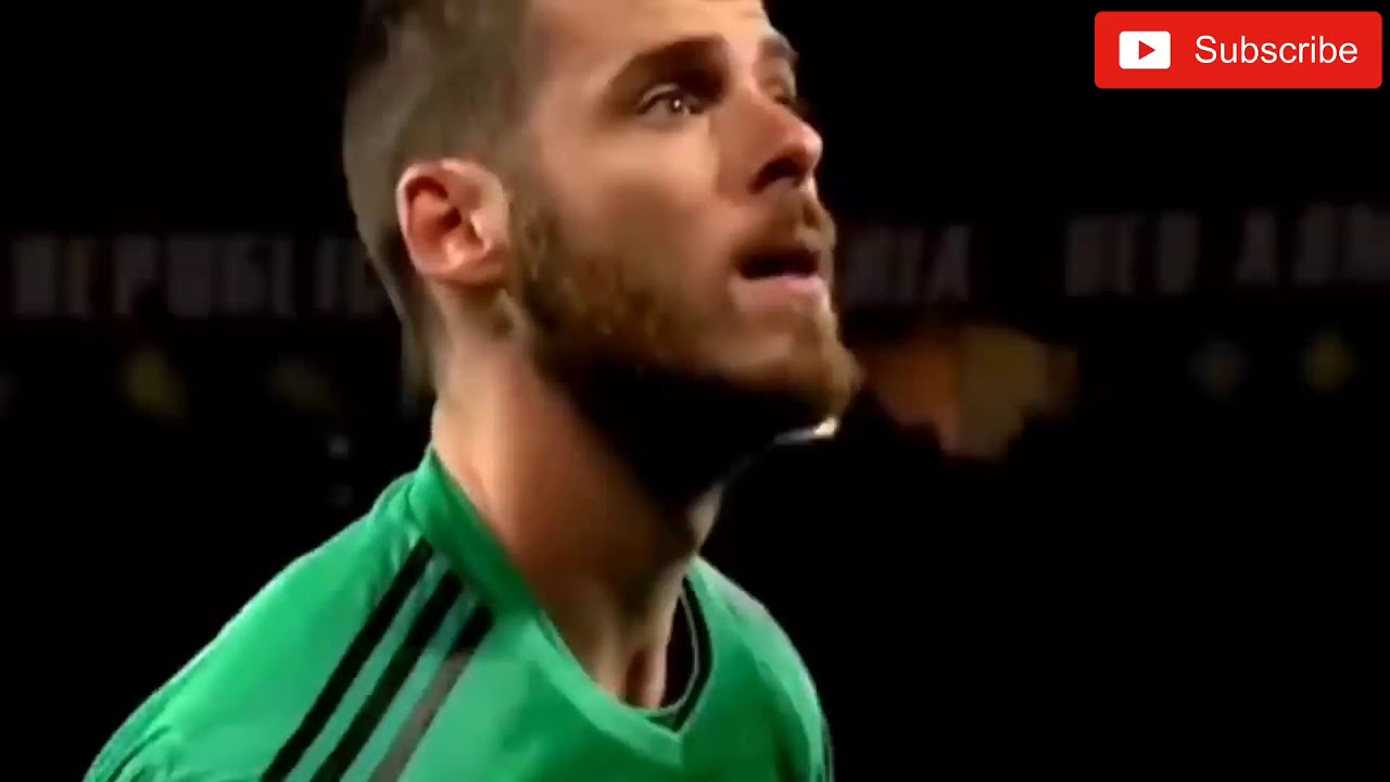 50 Best Goalkeeper Saves 2019