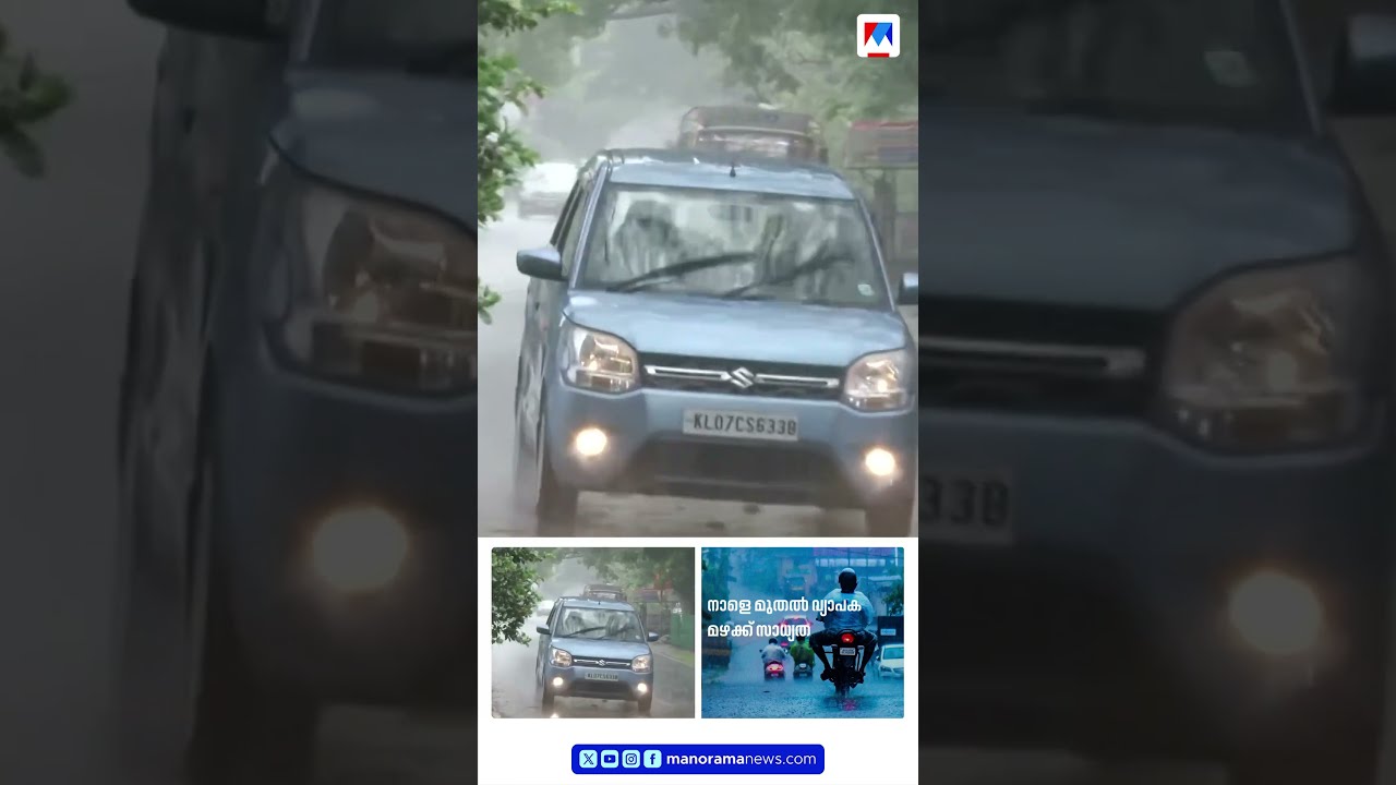 നാളെ മുതല്&zwj; സംസ്ഥാനത്ത് വീണ്ടും വ്യാപക മഴ; 7 ജില്ലകളിൽ യെല്ലോ അലർട്ട് #KeralaRain #KeralaWeather