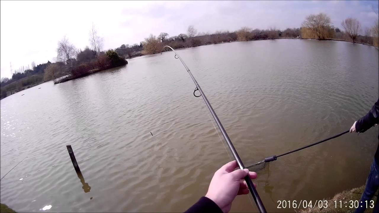 CARPCAM - Catch Video with 1080p Sunnycam sport video sunglasses