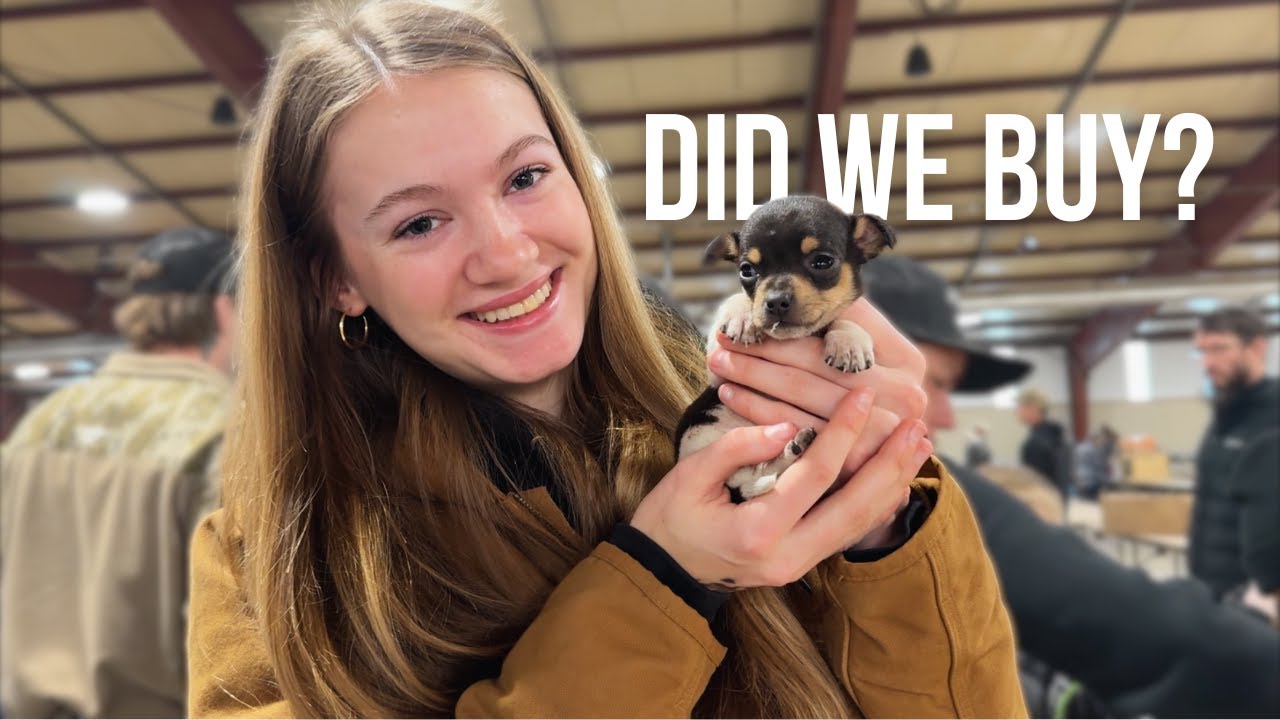 We Went to a Farm Animal Swap | What did we Find? 🐓💵