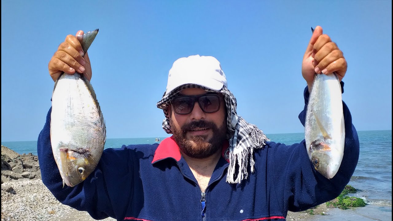 صيد الدنيس أحجام فوق السوبر بالطعم السحرى لجميع انواع السمك