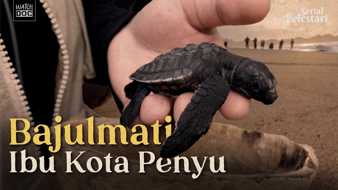 Bajulmati Ibu Kota Penyu | PELESTARI