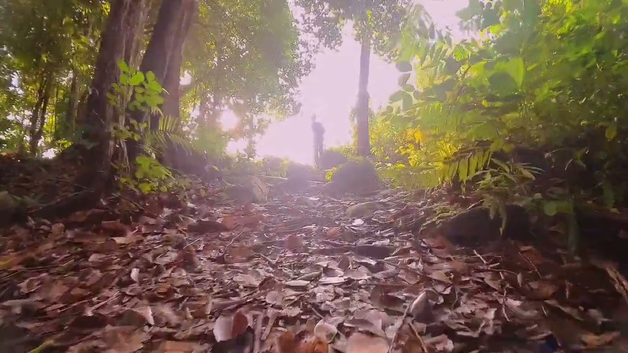 Cinematic Hiking Vlog: Discover Patoi Hill, Peradayan Forest Reserve, Temburong, Brunei