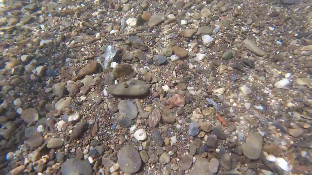 GOPR0 Reka drina najcistija voda, sacuvajmo prirodu