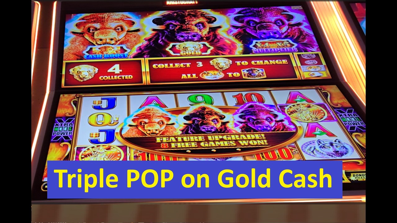 Huge Win on Buffalo Gold Cash Slot! Aristocrat Game